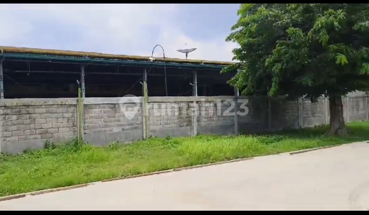 Gudang Siap Pakai Di Raya Cangkir