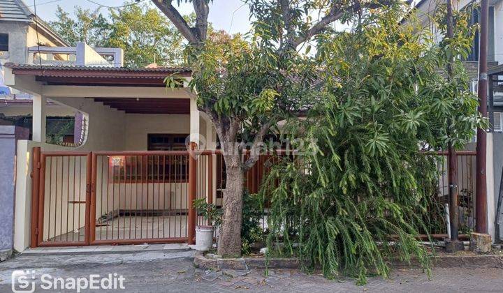 Rumah Jual Cepat Siap Huni Di Darmo Sentosa Raya 1