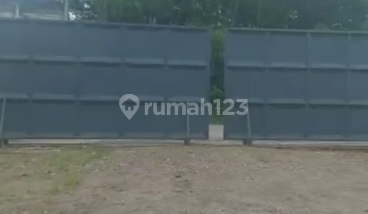 Free Fall Price Ex Wood Factory in Ngoro Mojokerto