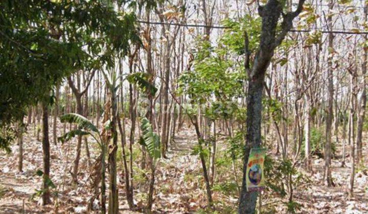 Jual Tanah Di Kota Nganjuk Jln Wilis  2