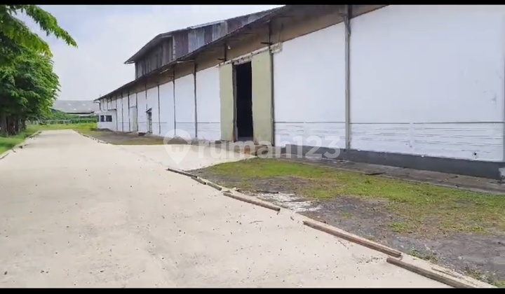 Gudang Siap Pakai Di Raya Cangkir