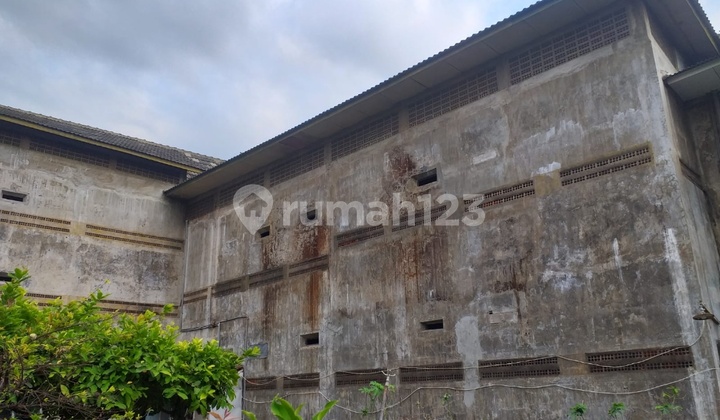 Beli Rumah Lgs Dpt Cuan Sarang Walet Di Pasuruan