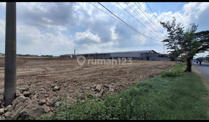 Dijual Tanah Sdh Diuruk Zona Industri Mojotengah Gresik 1