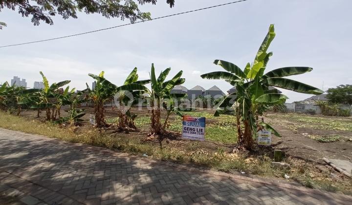 Dijual Tanah Cocok Utk Bangun Perumahan Di Candi Kuwukan