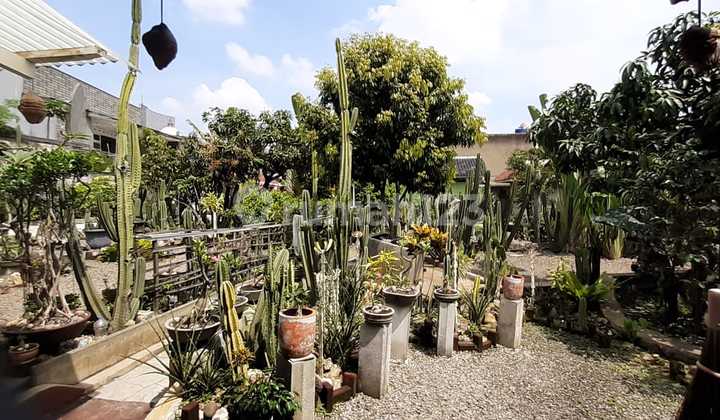 Muraah Pisan Di Antapani Strategis Muraah Pisan Di Antapani Strategis