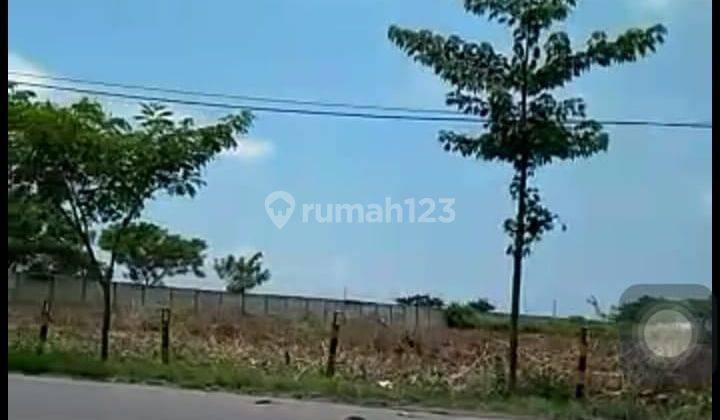 Tanah Industri Nasional Kecamatan Widang Tuban 1