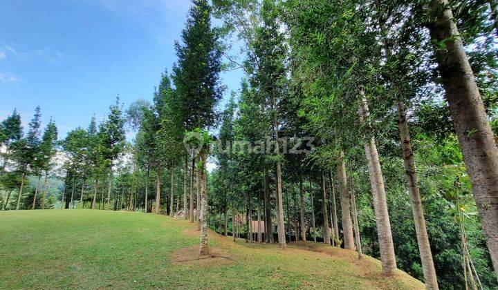 Tanah Kavling di Depan Hutan Lindung Juanda 2