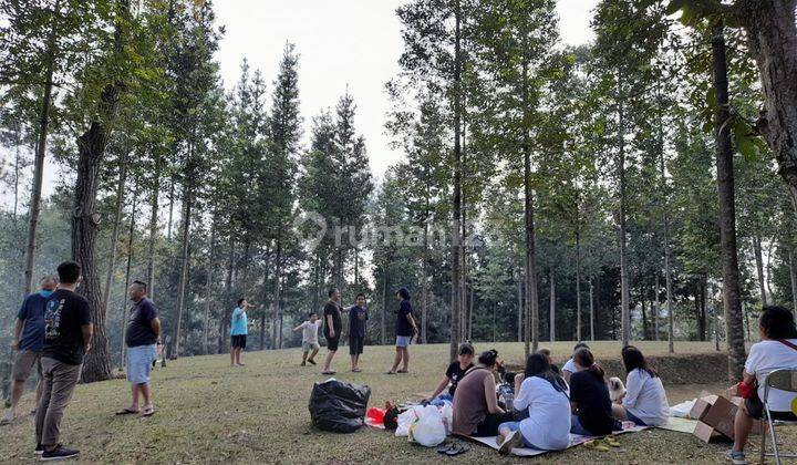 Tanah Kavling di Depan Hutan Lindung Juanda 1