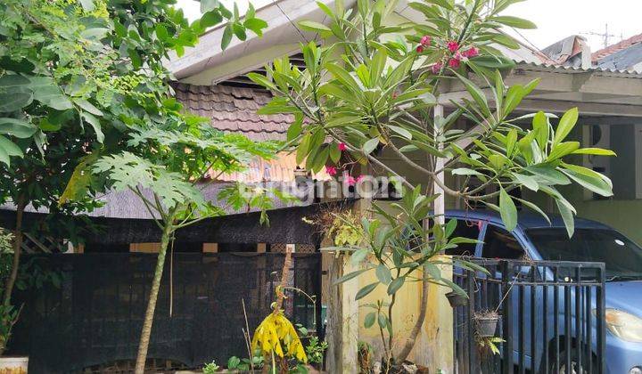 Rumah 1 lantai Bintaro permai Jakarta Selatan 1