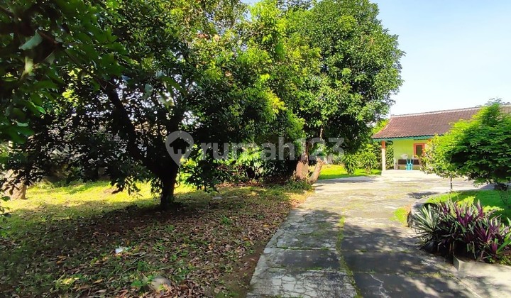 Turun Harga Dijual Rumah di Pinggir Jalan Kaliurang Jogjakarta Turun Harga Dijual Rumah di Pinggir Jalan Kaliurang Jogjakarta