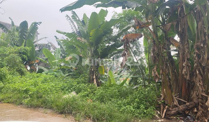 For sale land near Tekno Park BSD, plot 2.9 ha, SHM (certificate). For sale land near Tekno Park BSD, plot 2.9 ha, SHM (certificate).