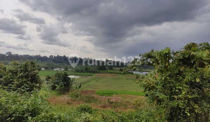 Kavling belakang Desa Dandang Lokasi CISAUK Peruntukan industri Kavling belakang Desa Dandang Lokasi CISAUK Peruntukan industri