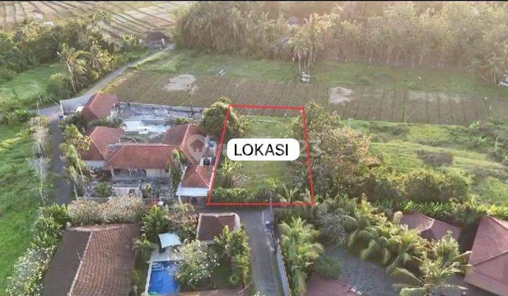 Freehold Land Villa Surrounding At Kedungu Near Canggu Bali 2