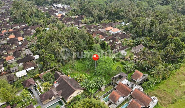 TANAH MURAH COCOK UNTUK INVESTASI BERLOKASI DI PEJENG UBUD BALI TANAH MURAH COCOK UNTUK INVESTASI BERLOKASI DI PEJENG UBUD BALI