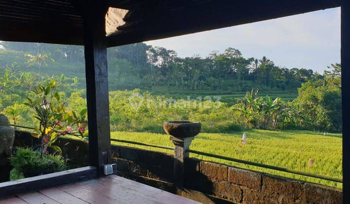 Rumah Semi Villa View Gunung, Sawah, Sunset di Petang Badung 2