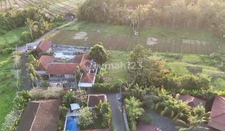 Freehold Land Villa Surrounding At Kedungu Near Canggu Bali 1