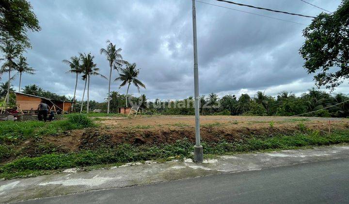 Tanah Kavling View Sawah Dekat Pison Lodtunduh Ubud Bali 2