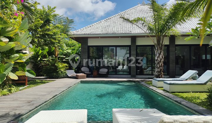 Leasehold 29years New 3BR Spacious Villa in Prime Area Of Seminyak Bali