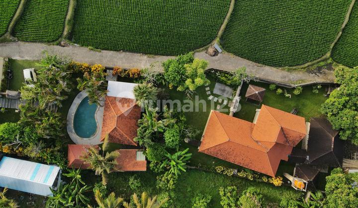 HARGA TANAH SAJA, VILLA VIEW SAWAH ABADI DI UBUD GIANYAR BALI HARGA TANAH SAJA, VILLA VIEW SAWAH ABADI DI UBUD GIANYAR BALI