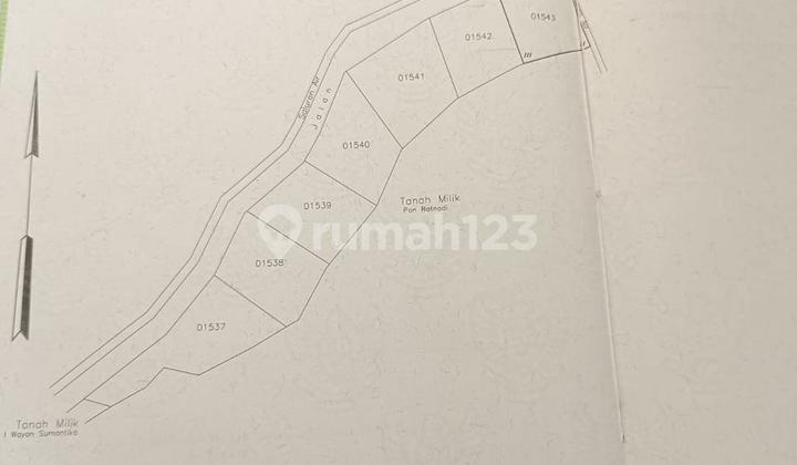 LAND 2ARA FOR LEASE IN CEPAKA NEAR PERERENAN TUMBAK BAYUH BALI