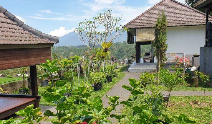 Rumah Semi Villa View Gunung, Sawah, Sunset di Petang Badung 1