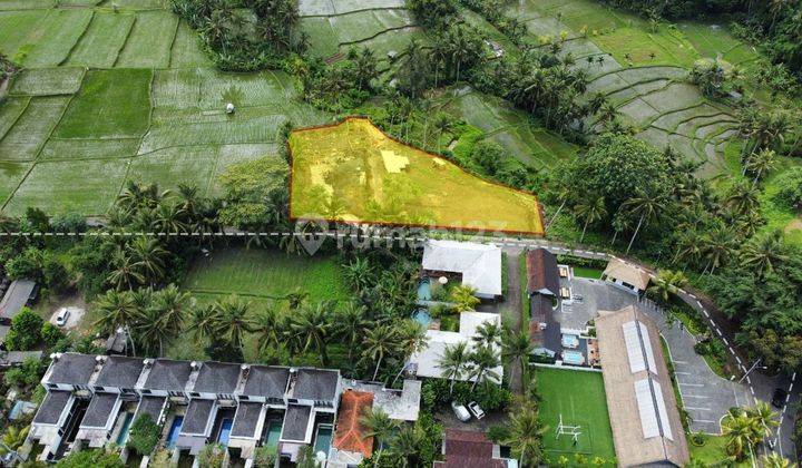 Tanah Kavling View Sawah Dekat Pison Lodtunduh Ubud Bali 1