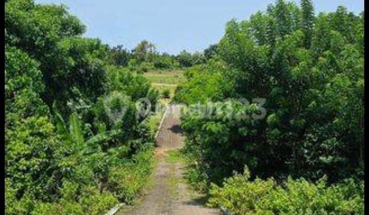 Freehold Land With Ocean View Near Balangan Beach Ungasan Bali 1