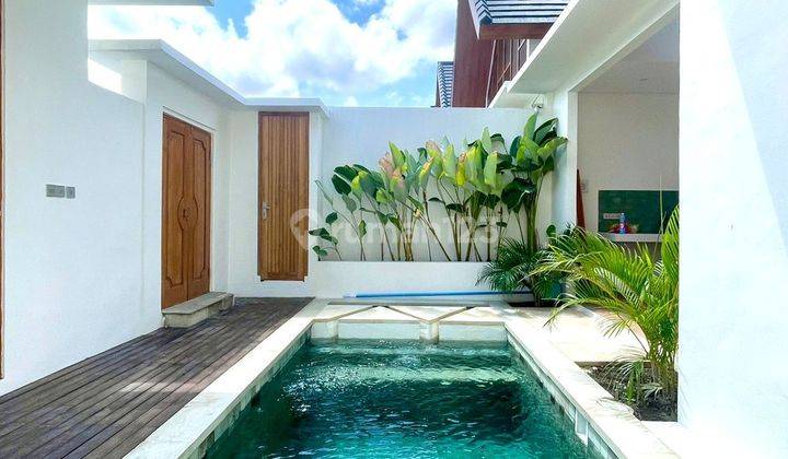 Leasehold 20 Years Villa 2br At Kerobokan Near Canggu Bali 1