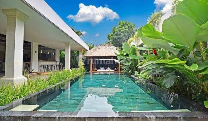 Luxury Villa With Huge Living Area At Kerobokan Near Seminyak 1