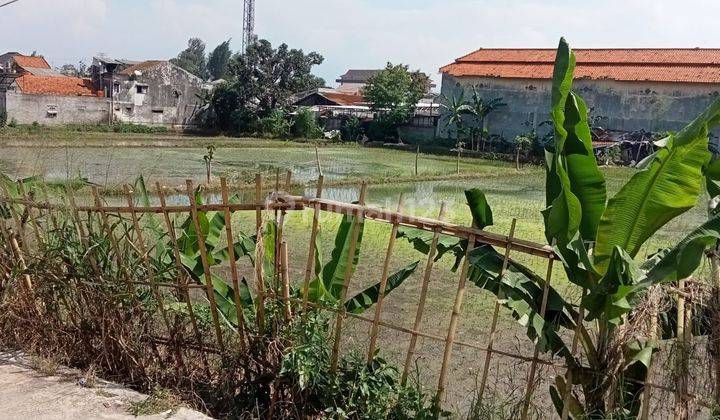 Tanah Sawah Produktif 5000 m² di Cinunuk-Cileunyi  1