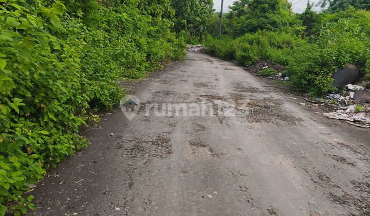 Land for Rent 3.26 Hectares in Purigading, Jimbaran, South Kuta, Badung, Bali Land for Rent 3.26 Hectares in Purigading, Jimbaran, South Kuta, Badung, Bali