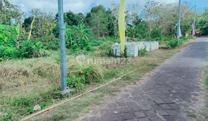 Land for Sale Near Nusa Dua Toll Road Badung Bali 2