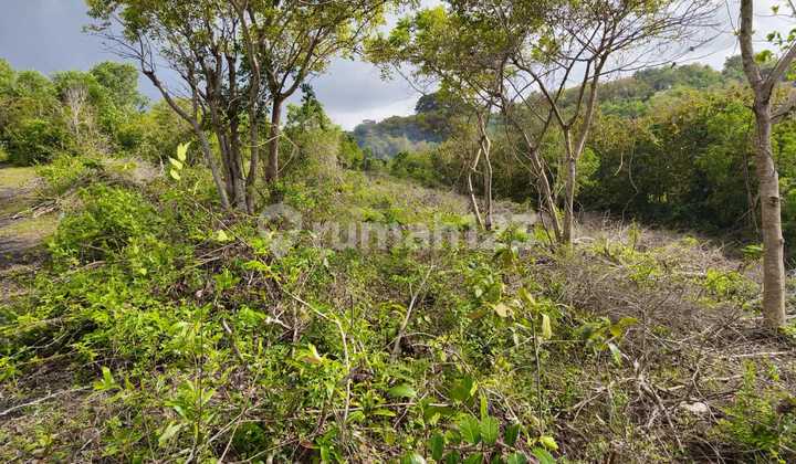Tanah 11.200M² Kawasan Gwk Ungasan Badung Bali Tanah 11.200M² Kawasan Gwk Ungasan Badung Bali