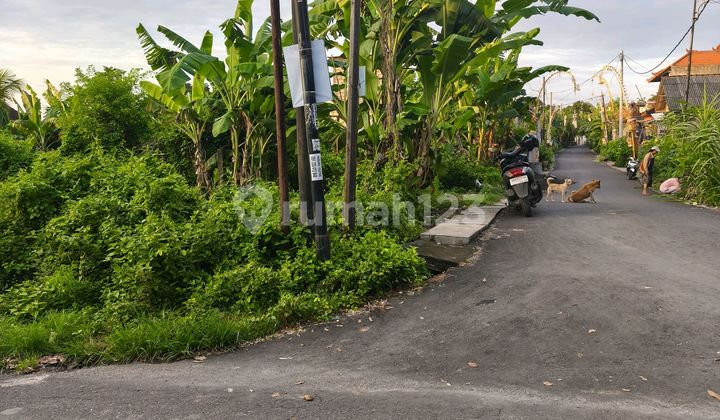Tanah Kawasan Balangan Beach Jimbaran Badung Bali Tanah Kawasan Balangan Beach Jimbaran Badung Bali