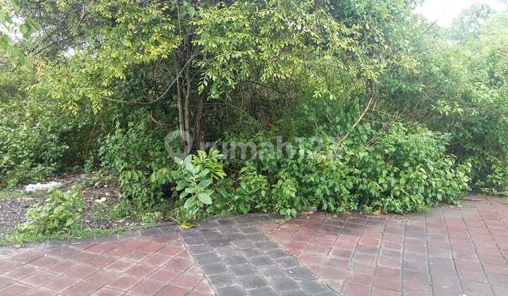 Dijual Tanah Dekat Smp Negeri 5 Kutuh Badung Bali 