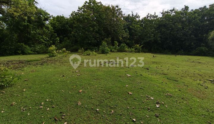 Land 1430M² IDR 590 Million Per Are Balangan Beach Area Jimbaran