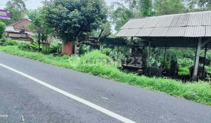 Dijual tanah dekat tugu pahlawan margarana Tabanan Bali  2