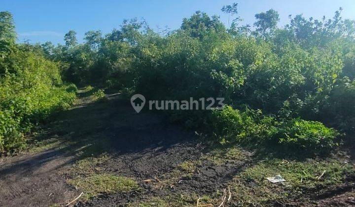 Ocean view land for sale near Karma Kandara Ungasan Badung Bali  2