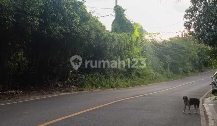 Tanah Plot Kecil Kawasan Nyang Nyang Beach Pecatu Tanah Plot Kecil Kawasan Nyang Nyang Beach Pecatu