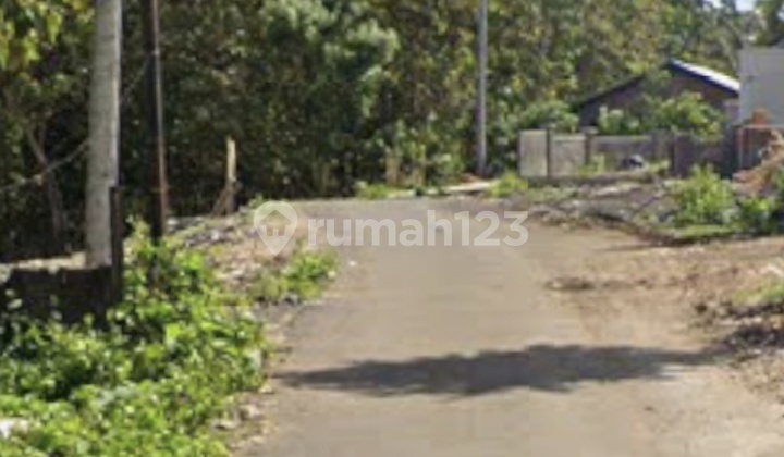 Dijual Tanah 5230m² Dekat Nourish Cafe Pecatu Badung Bali Dijual Tanah 5230m² Dekat Nourish Cafe Pecatu Badung Bali