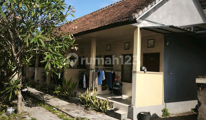 Dijual Kos Kosan 5 Kamar Luas Tanah 364m² Di Kedonganan Badung Bali Dijual Kos Kosan 5 Kamar Luas Tanah 364m² Di Kedonganan Badung Bali