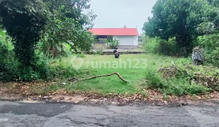 For Rent: Shop with 475 m² Land Area Near Pandawa Beach For Rent: Shop with 475 m² Land Area Near Pandawa Beach