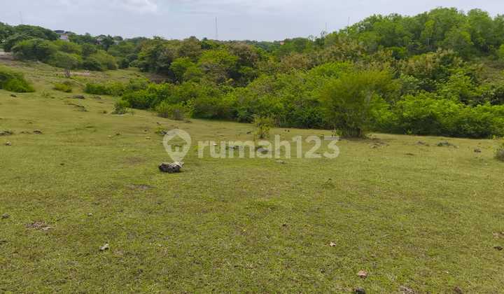Tanah 4480 M² Kawasan Pandawa Beach Kutuh Badung Bali Tanah 4480 M² Kawasan Pandawa Beach Kutuh Badung Bali