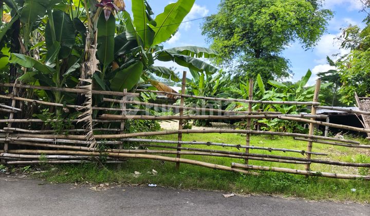 Dijual Tanah 10 Are Idr 600 Juta Per Are Dekat Pepito Taman Griya Jimbaran 