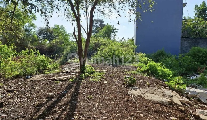 Land for Sale 165 m² IDR Global 1.3 Billion at Unud Campus Jimbaran