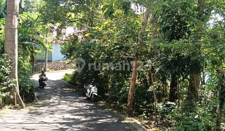 Dijual Tanah 26,77 Are Dekat Savaya Pecatu Badung Bali Dijual Tanah 26,77 Are Dekat Savaya Pecatu Badung Bali