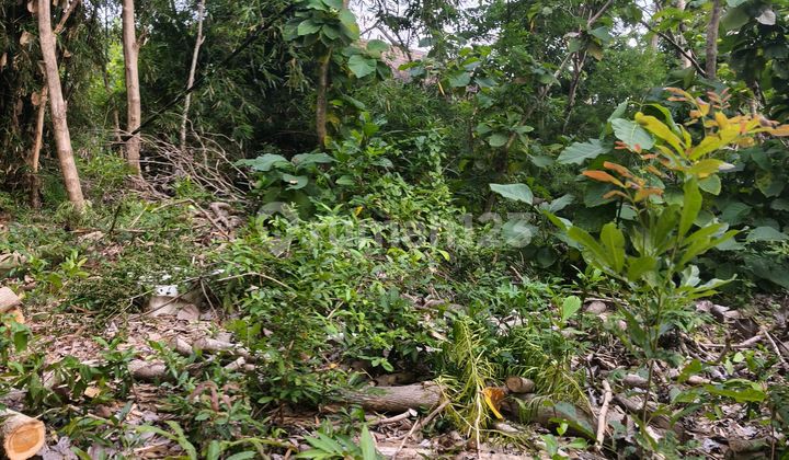 For Sale 11 Ares of Land Near Polytechnic & Udayana University Campus, Jimbaran, Badung, Bali