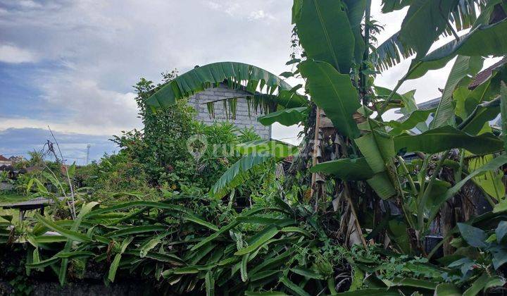 Disewakan Rumah Dekat Gwk Ungasan Minimal 20 Tahun  2