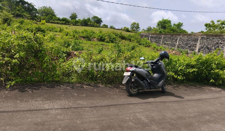 Dijual Tanah 5,30 Are Idr 400jt Per Are Dekat Smp Negeri 5 Kutuh Kuta Selatan Badung Bali 