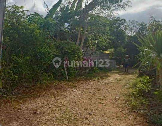 Dijual Tanah Di Belakang STP Nusa Dua Badung Bali  2